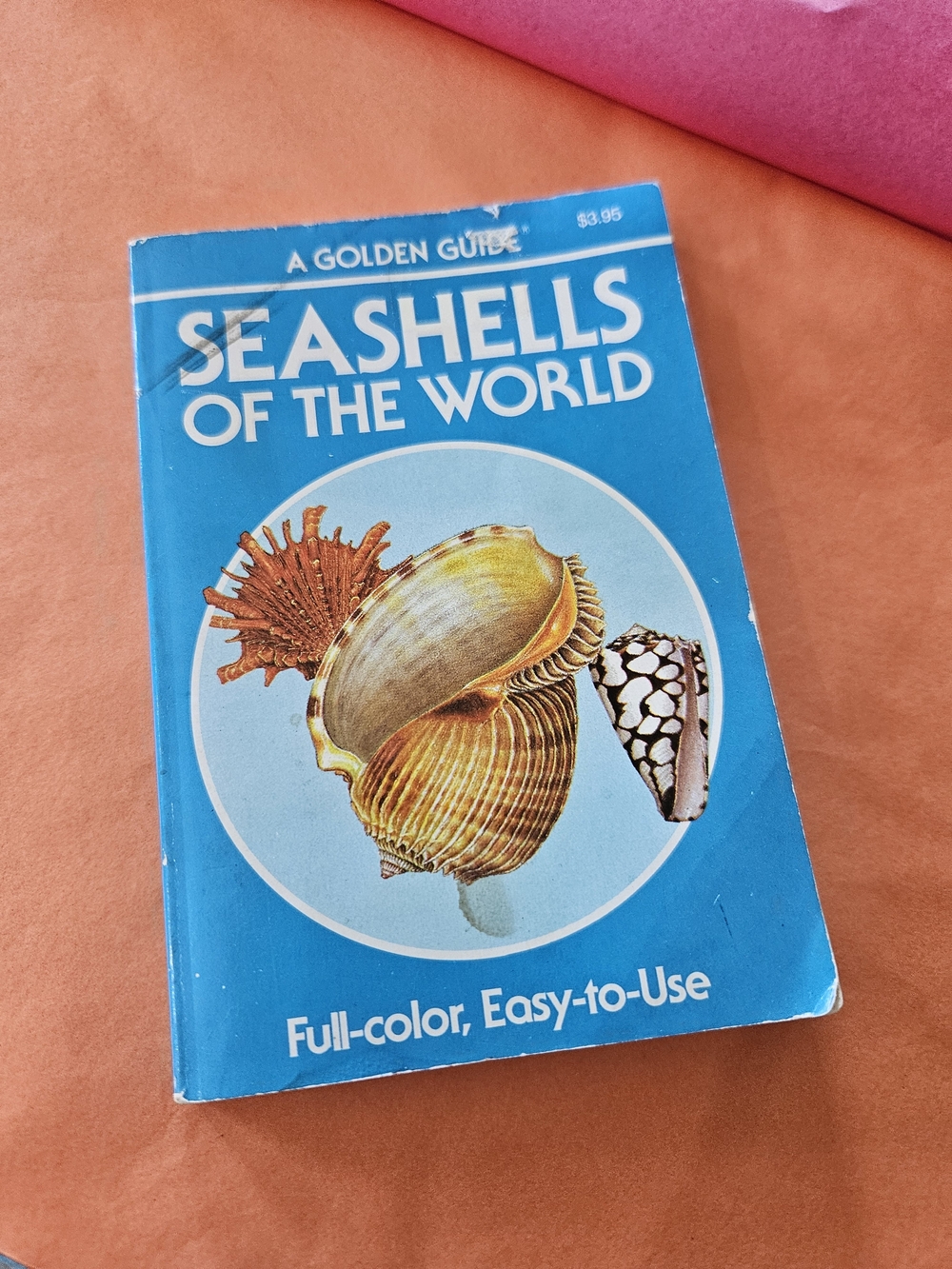 Seashells of the World - Fully Illustrated 160 Pgs - Golden Guides